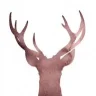 ColdDeer23